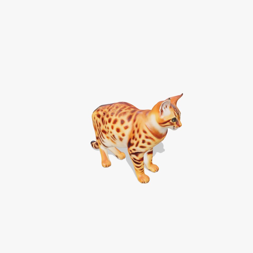 Spotted Bengal Cat model pack